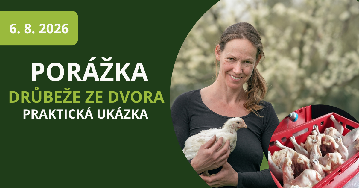 porážka drůbeže ze dvora ukázka