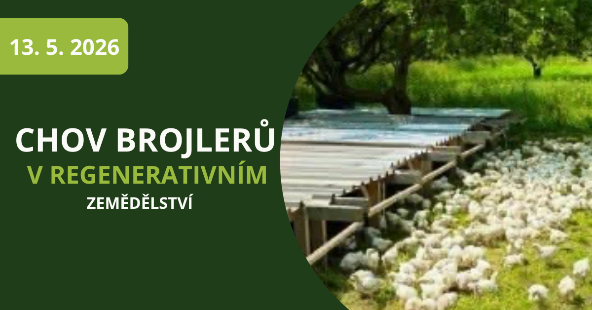 chov brojlerů v regenerativním zemědělství