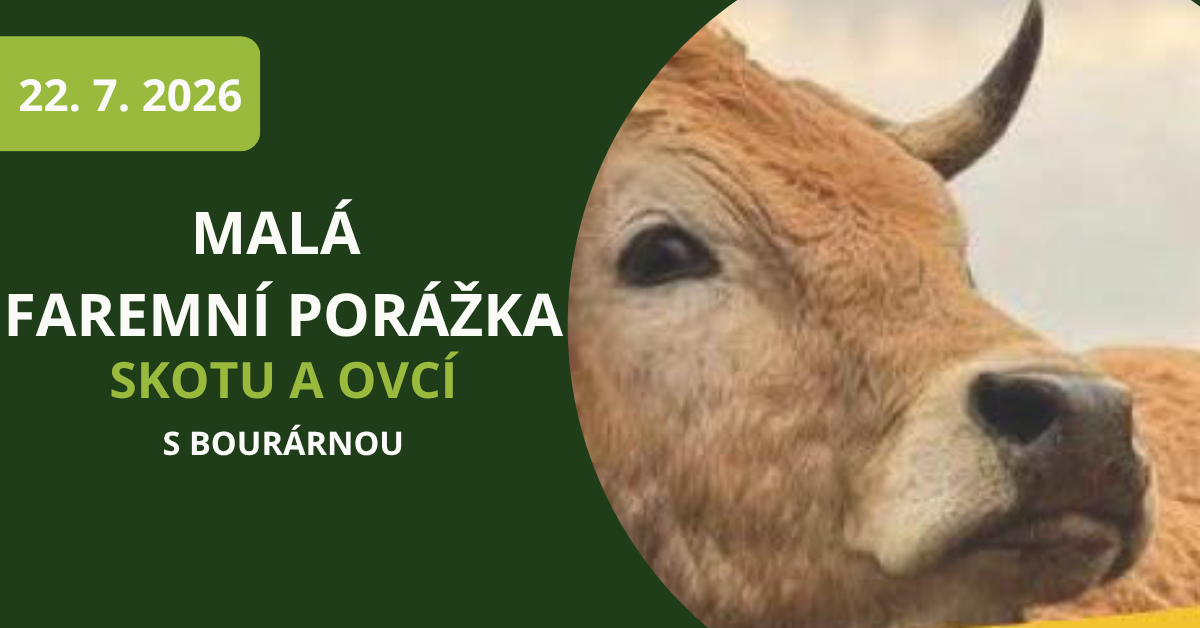 malá faremní porážka skotu