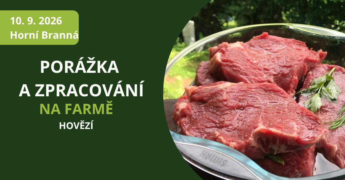 porážka drůbeže ze dvora ukázka