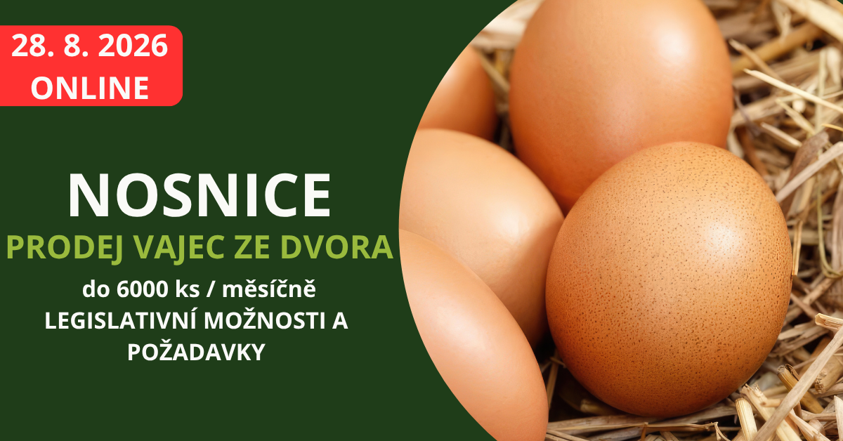 porážka drůbeže ze dvora ukázka