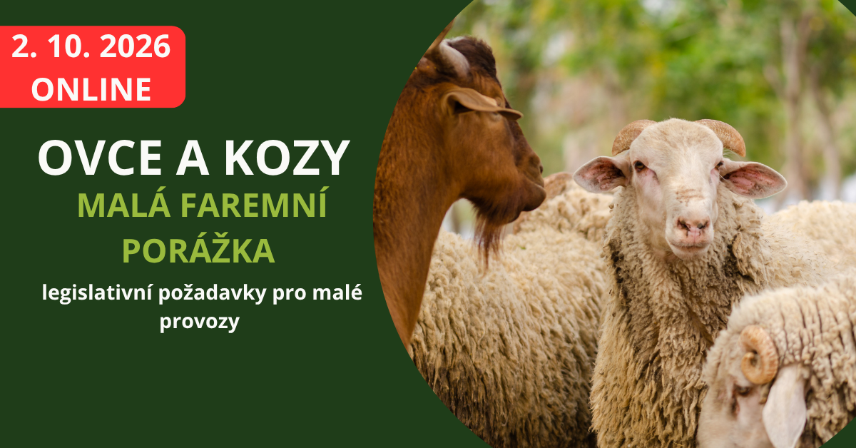 porážka drůbeže ze dvora ukázka